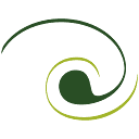Apollooptical